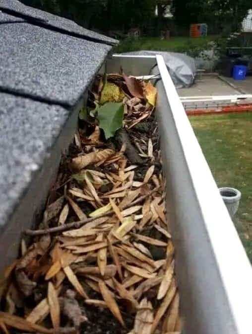 Residential gutter run packed with leaf debris, then cleared and flushed — before cleaning